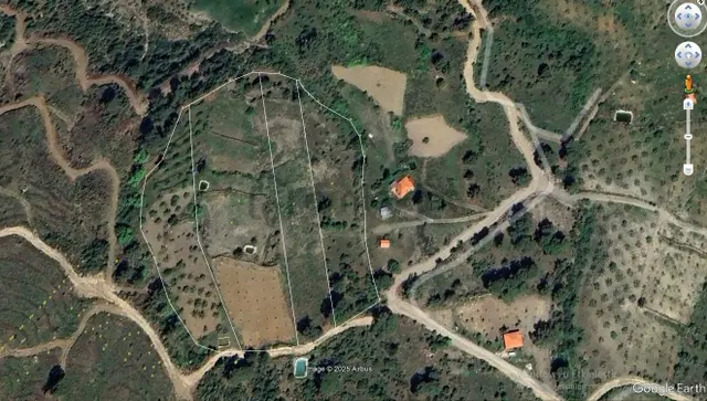 Dalaman Da Dost Emlaktan Gürleykte 4840 M² Satılık Tarla 1