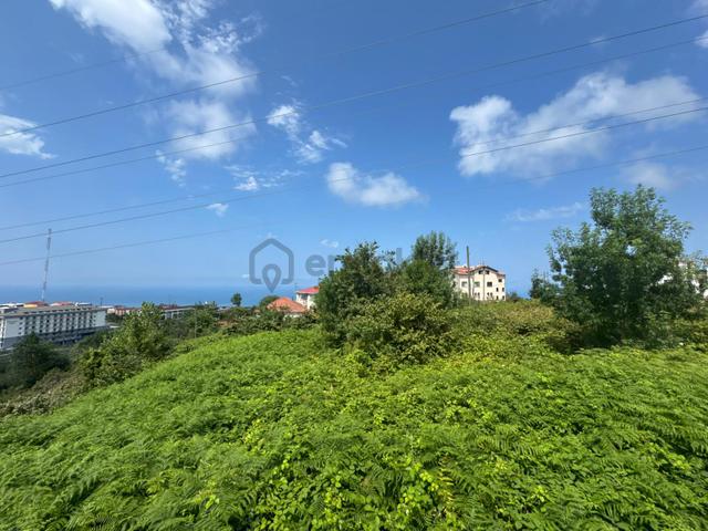 Trabzon'da Satılık 3 Villalık Arsa 2