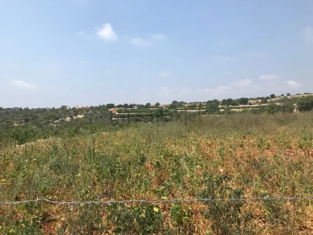 Narlikuyu - Kavlaklıda Satılık Deniz Manzaralı Tarla 1
