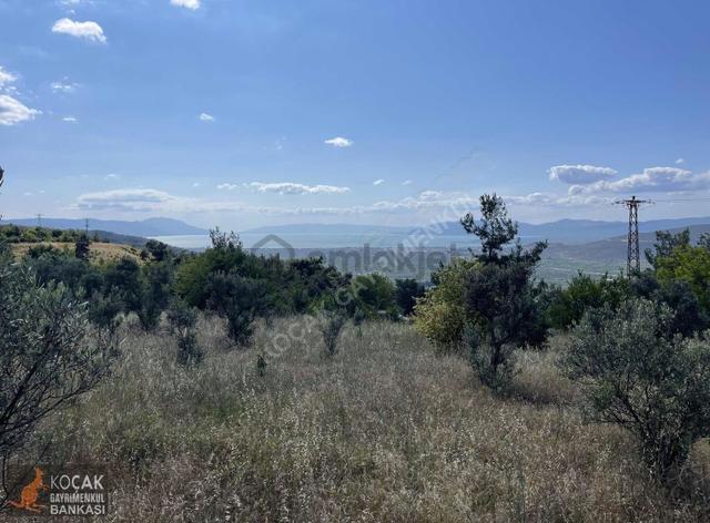 Çamoluk Mah.asfalt Cepheli Göl Manzaralı 7830 M2 Satılık Bahçe 4