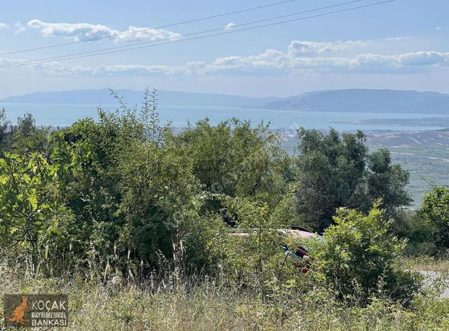 Çamoluk Mah.asfalt Cepheli Göl Manzaralı 7830 M2 Satılık Bahçe 2