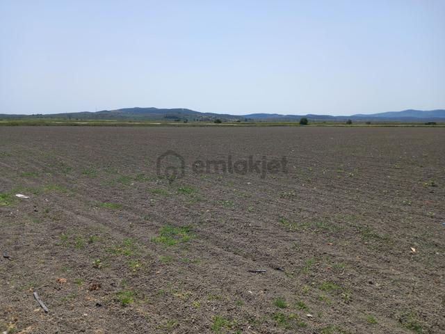 Akhisar Rahmiye Yoluna Cepheli 6.300 M2 Koop Suyu Olan Tarla 2.350.000 Tl 5