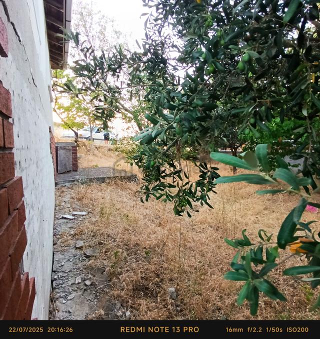 Şarköy İstiklal De 255 M2 Arsa İçinde Müstakil Ev 3