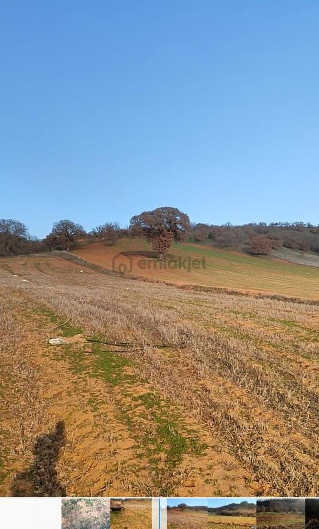 Uşak Eşme Yeleğen Kasabasında 26240m2 Satılık Arazi 5