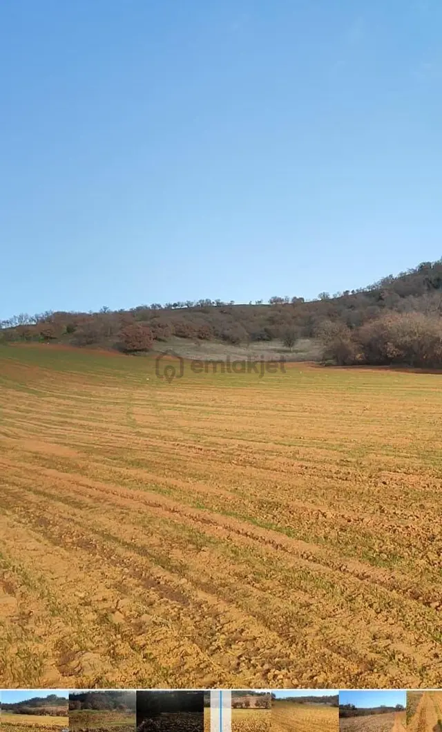 Uşak Eşme Yeleğen Kasabasında 26240m2 Satılık Arazi 3