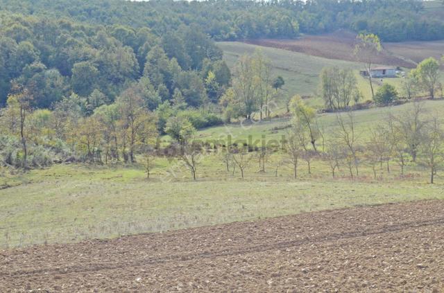 Kocaeli Gebze Duraklı Da Yolu Olan Köy Merkezinde 3.200 M² Satılık Tarla 5