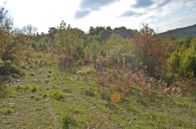 Gebze Elbizli Mahallesinde Satılık 3000m² Arsa 5