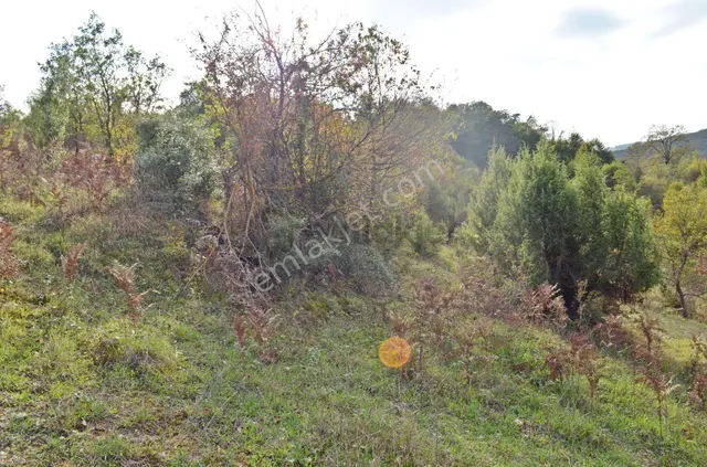 Gebze Elbizli Mahallesinde Satılık 3000m² Arsa 1