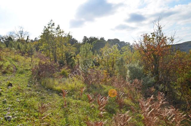 Gebze Elbizli Mahallesinde Satılık 3000m² Arsa 4