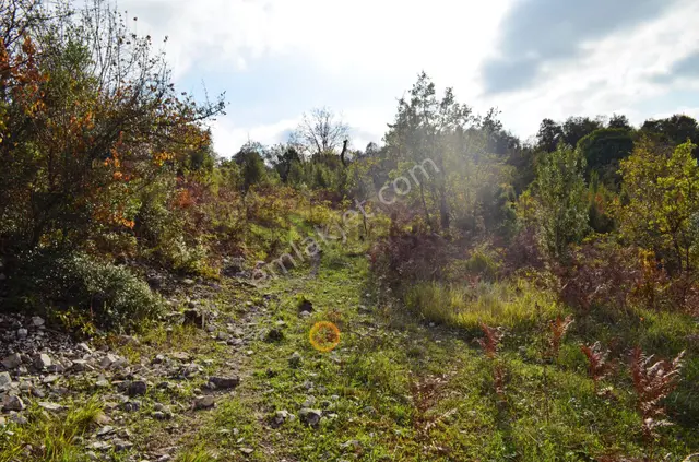 Gebze Elbizli Mahallesinde Satılık 3000m² Arsa 2