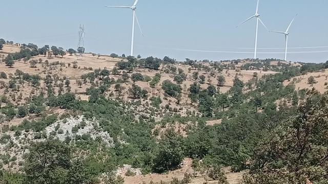 Komutanemlaktan Durmuşlarda 8 Dekar Tarla 5