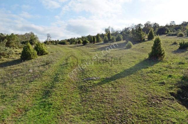 Gebze Duraklı Köyünde 10.000 M2 Satılık Villa Arsası 3