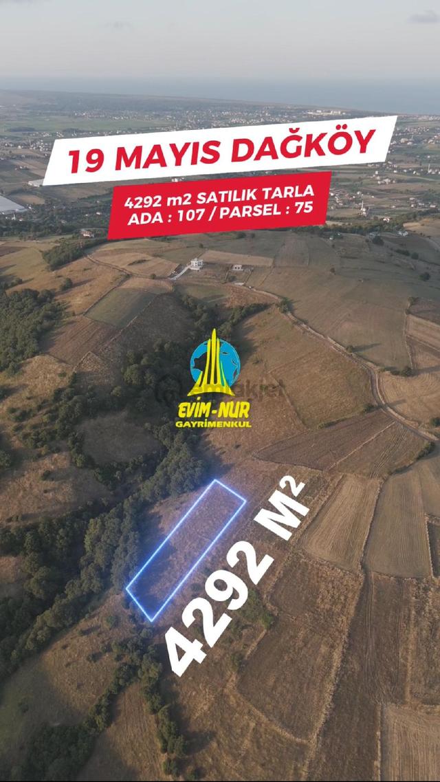 Evim-nur'dan Dağköy Mah 4292m2 Manzaralı Kadastrolu Yolu Açılmış Yatırımlık Tarla 2
