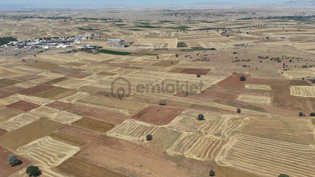 Konya / Akören / Hacılar Mahallesinde 2.981 M² Müstakil Tapulu Tarla 5