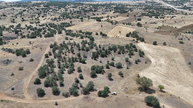 Konya / Güneysınır / Mehmetali Mahallesinde 6.101 M² Müstakil Tapulu Tarla 5