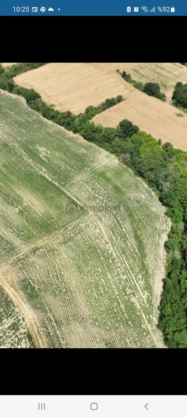Kırklareli Pınarhisar Kaynarca Akarlar'da Tek Tapu 5308 M2 2