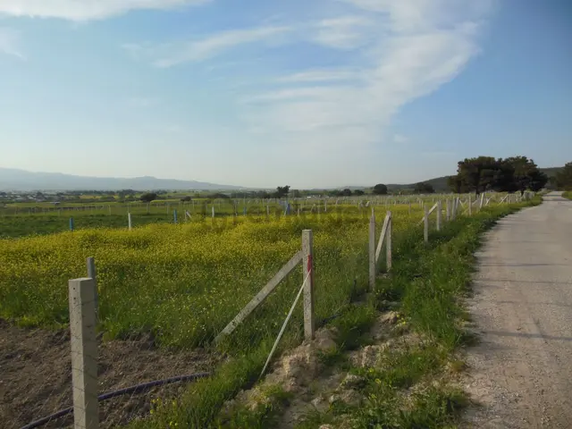 Bal Gayrimenkul- Elektrik Su Hazır Noter Satışlı 270 M2 Bahçe 3
