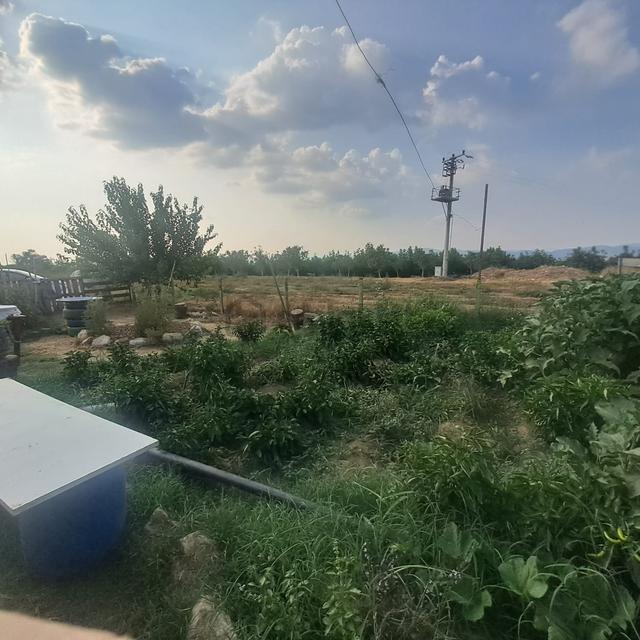 İzmir Tire Eskioba’da Yatırıma Uygun 64 Dönüm Satılık Arazi – Quantum Real Estate Güvencesiyle! 5