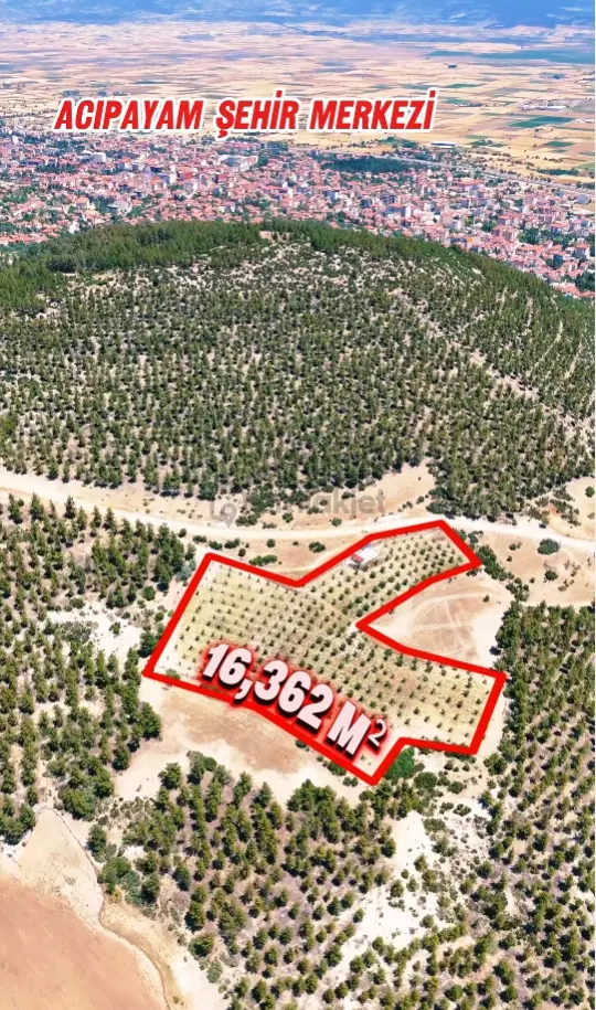 Şahin Emlaktan Denizli Acıpayam Yukarı Mah.5 Tapulu Toplam 16.362 M2 Kurulu Düzen Ceviz Bahçesi 2