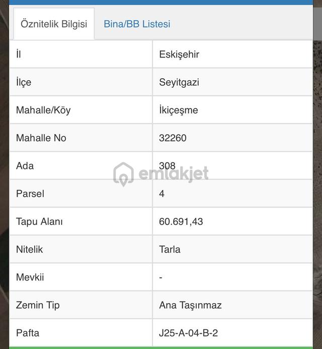 Seyitgazi Merkezde 67 Dönüm Yatırımlık Satılık Tarla 2