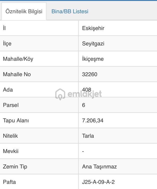 Seyitgazi Merkezde 67 Dönüm Yatırımlık Satılık Tarla 4