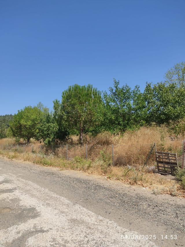 Çanakkale Merkez Atikhisar Barajı Manzaralı Sarıbeyli Köyünde Satılık 2400m2 Tarla 3