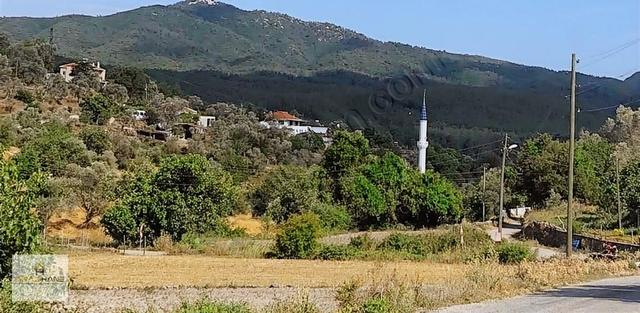 Milas Pınararası Köy İçi Toplam 535 M2 (250m2 ) İmarlı Arsa- İnşaata Hazır 5