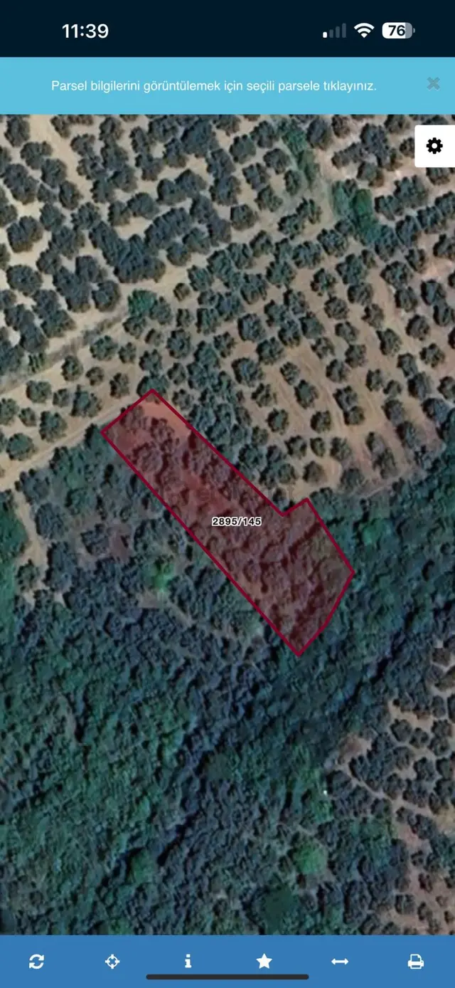 Bursa Mudanya Yalıçiftlik Fırsat Zeytinlik 1132m2 1
