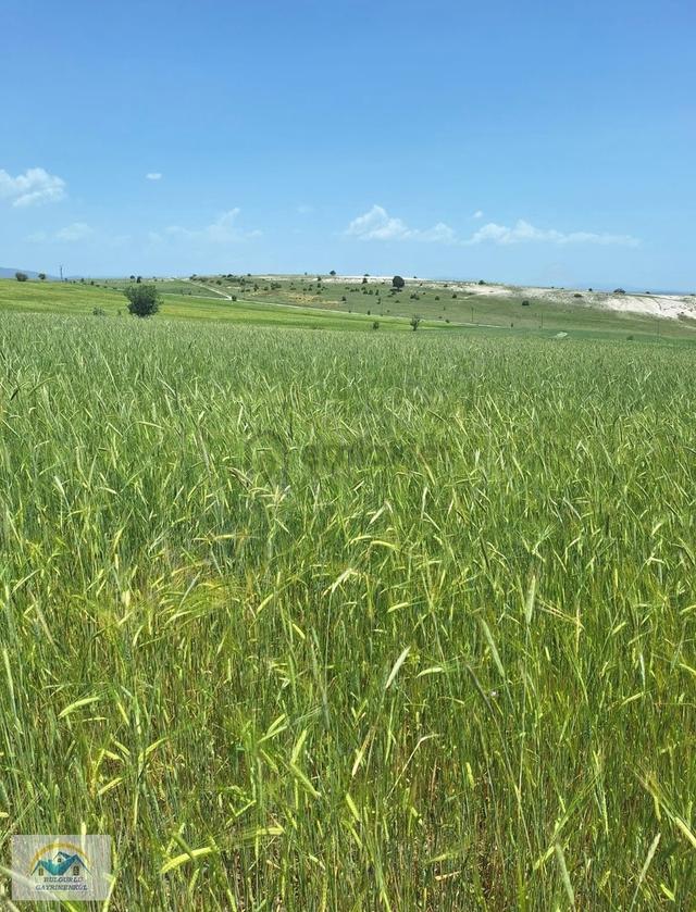 Konumu Mükemmel Köye Yakın Yolu Olan Yatırım Fırsatı 2
