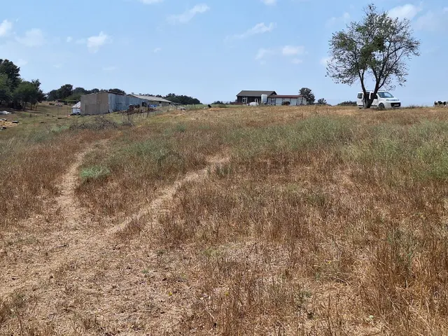 Tekirdağ Saray Küçükyoncalı Mh Satılık Tek Tapu Tarla 5