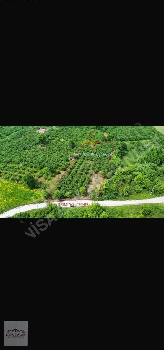 Puna-martinler Köyü Satılık Fındık Bahçesi Ve Arsa 3