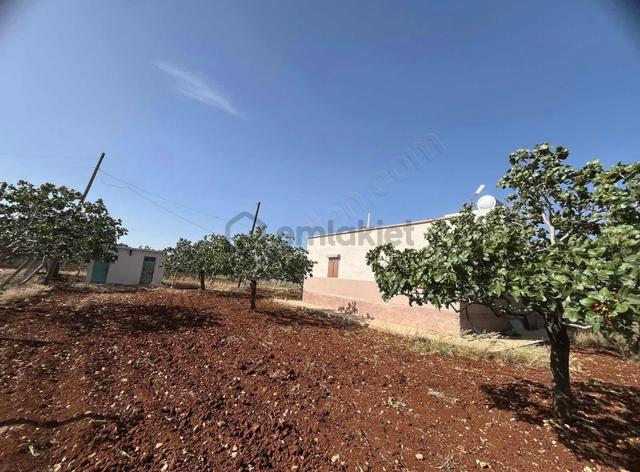 Bağ Evi Yatırımlık Ahmet Şeker Gayrımenkulden 3