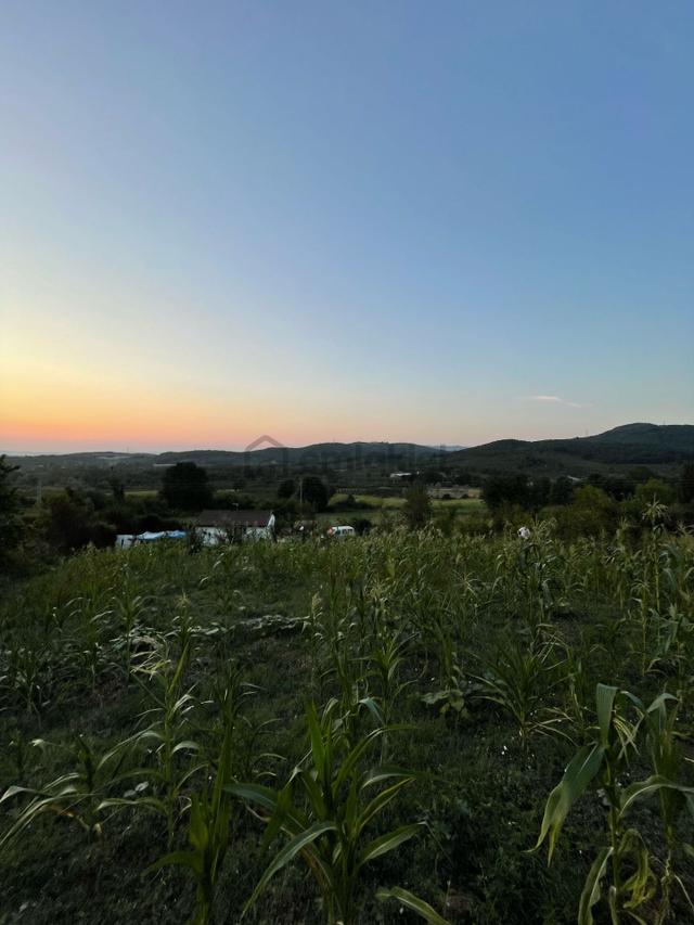 Sakarya Hendekte İçinde Yapı Olan 1.334 M2 Satılık Yer 3