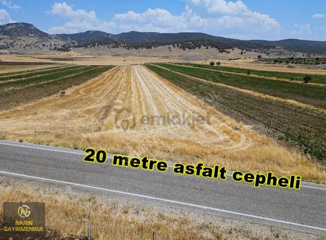 Nurdağı Kırkpınar Asfalt'ta, Suyu Başında, Hayvancılığa Çiftliğe 2