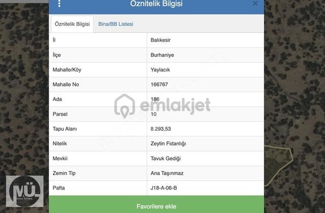 Balıkesir Burhaniye Yaylacık Mahallesi 8293 M2 Zeytinlik 4