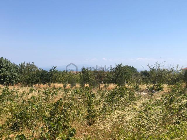 Şarköy De Işık Emlaktan Tepeköy Mah De 916 M2 0/35 İmarlı Arsalar 4