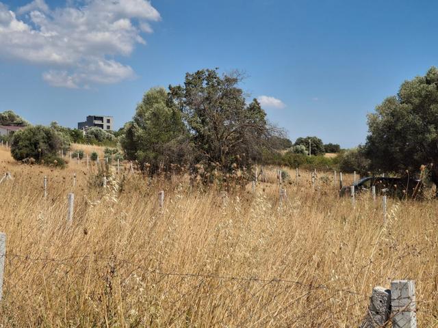 Bal Gayrimenkul- Akçaköyde Hisse Tapulu Ana Yola Yakın 500 M2 Bahçe 5