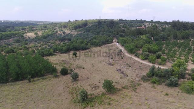 Çanakkale Ezine Çamlıca Yola Cephe Kupon Arazi 5