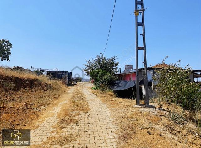 Küçük Menderes'ten İğdeli Mh. Satılık İncir-ceviz-zeytin Bahçesi 1