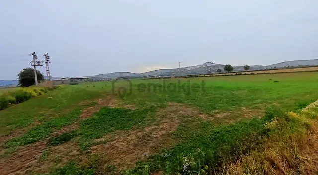 Eskiobada Satılık Dümdüz Tarla 5