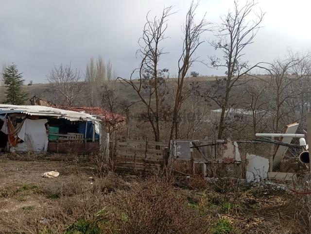 Seyitgazi Sarayörende Acil Satılık Köy Evi Ve Arsa 3