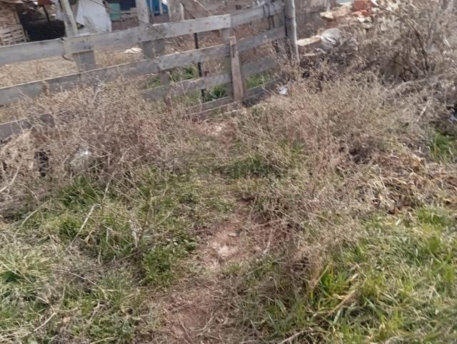 Seyitgazi Sarayörende Acil Satılık Köy Evi Ve Arsa 4