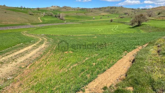 Doğa City'den Satılık Bilecik Söğüt Oluklu'da 1.236 M2 Tarla 5