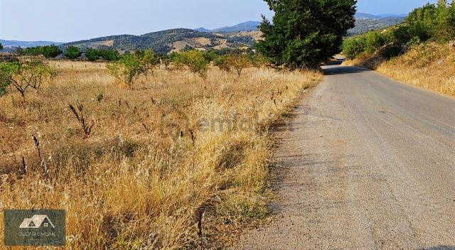İznik Mahmudiye Köyünde Satılık 2.887 M² Tarla Asfalta Cephe, 3