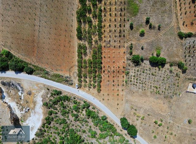 İznik Mahmudiye Köyünde Satılık 2.887 M² Tarla Asfalta Cephe, 5