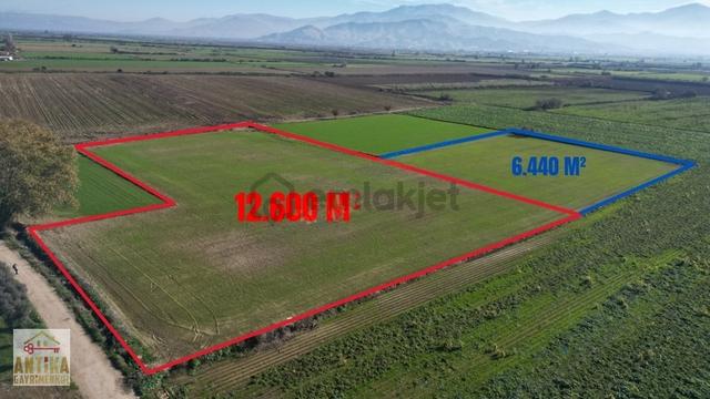 Antika Gayrimenkul'den Asfalt Kenarı Sulu Kredi Avantajlı Tarla 1