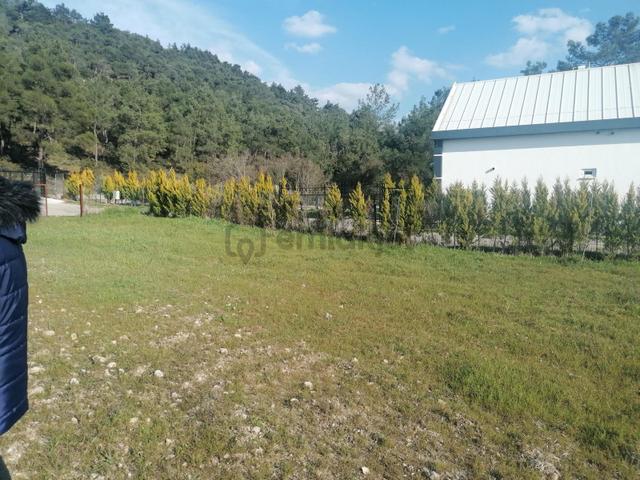 Bal Gayrimenkul-çatalcada Elektrik Su Hazır 580 M2 Köşe Parsel 2