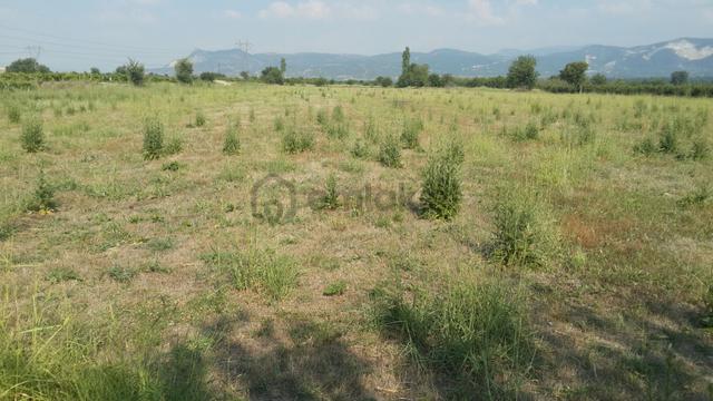 Denizli/çal/yukarıseyit Mah 6.500.m2 Verimli Tarla Araç Takası Olur 1