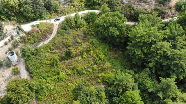 Alanya Gözüküçüklü Mahallesinde Satılık Deniz Manzaralı Tarla Alanya Gözüküçüklü Mahallesinde Satılık Deniz Manzaralı Tarla