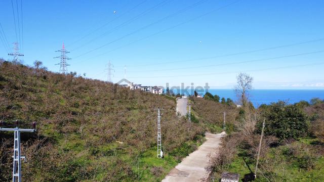 Trabzon 1.nolu Bostancıda Sosyal İmarlı Arsa Takaslı 3